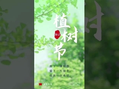 τροχό μεταφοράς οξειδίου του αλουμινίου